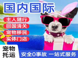 莫高机场空运国际宠物托运 【国